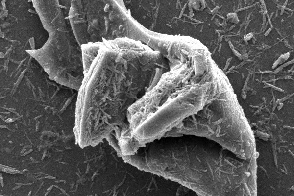 Electron microscope image of micro and nano tire particles